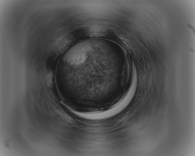 X0000091470219200708231346