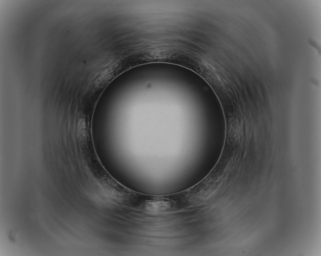 X0000091470220200708231346