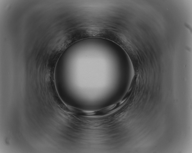 X0000091470221200708231345