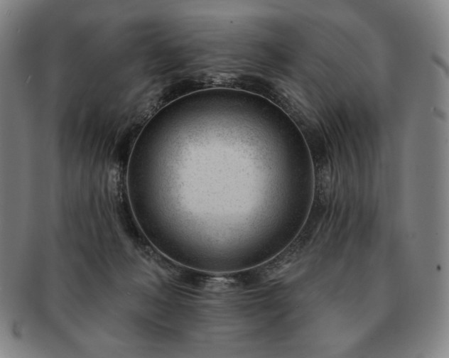 X0000091470222200708231345