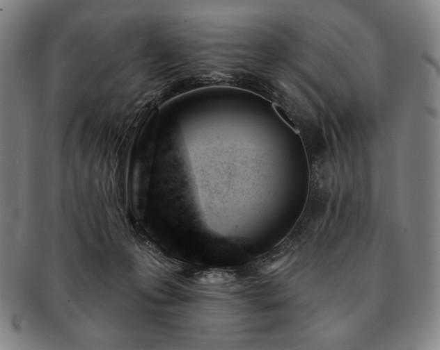 X0000091470223200708231345