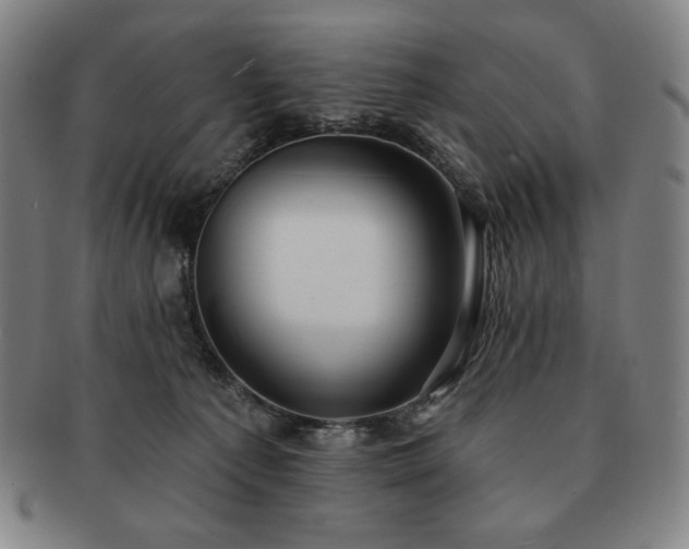 X0000091470225200708231345