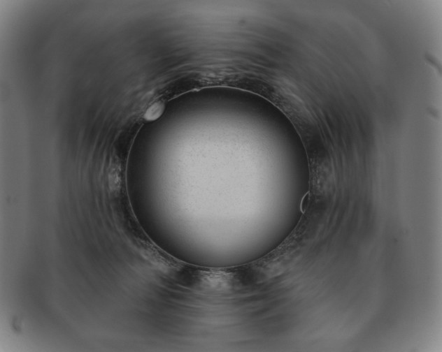 X0000091470226200708231345