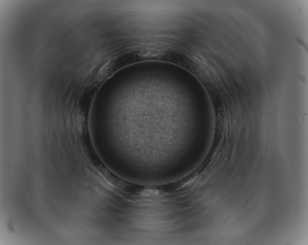 X0000091470227200708231345