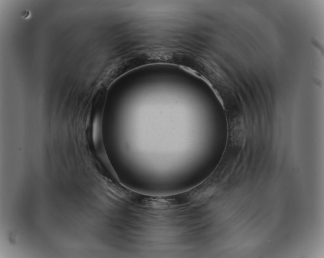 X0000091470229200708231345