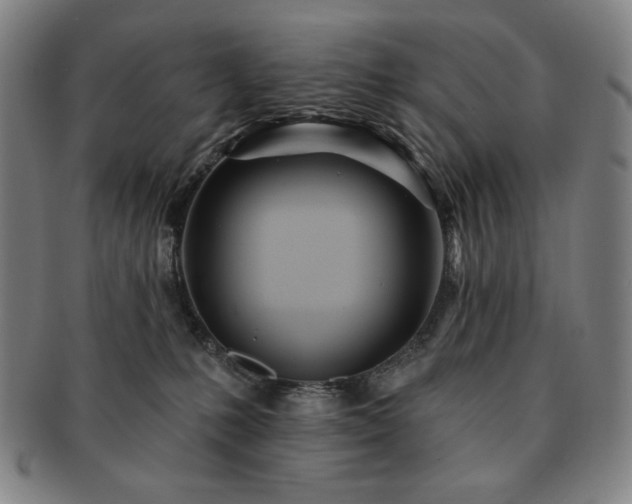 X0000091470231200708231345