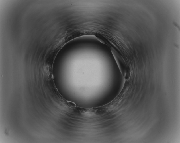 X0000091470232200708231345