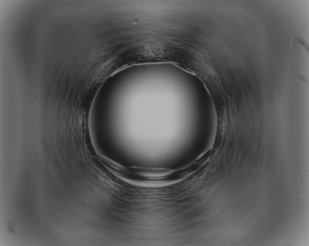 X0000091470233200708231345