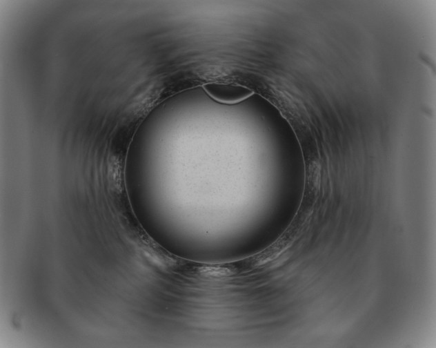 X0000091470234200708231345