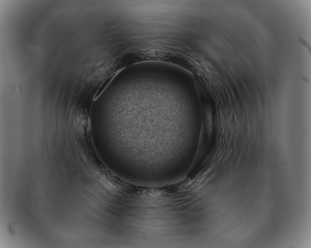 X0000091470235200708231345