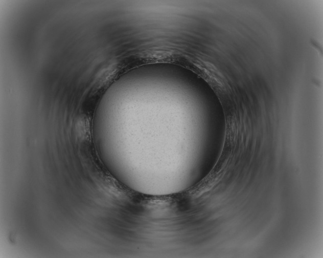 X0000091470236200708231345