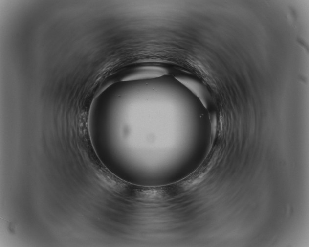 X0000091470237200708231345