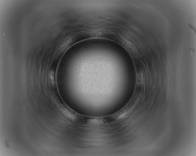 X0000091470238200708231345