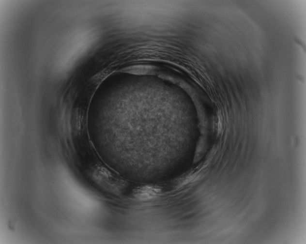 X0000091470239200708231345