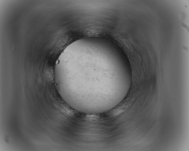 X0000091470240200708231345