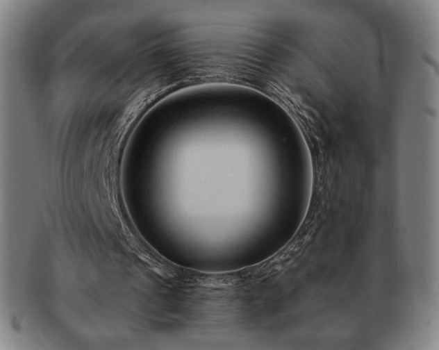 X0000091470241200708231344