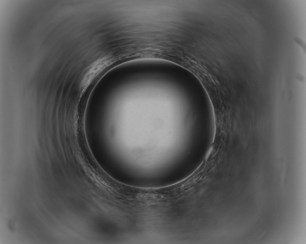 X0000091470242200708231344