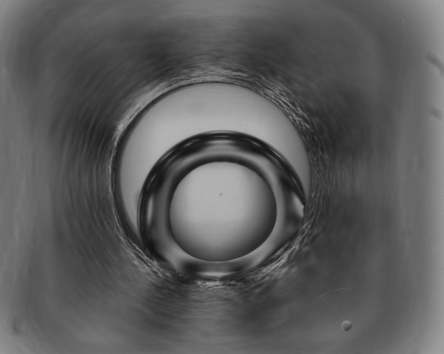 X0000091470244200708231344