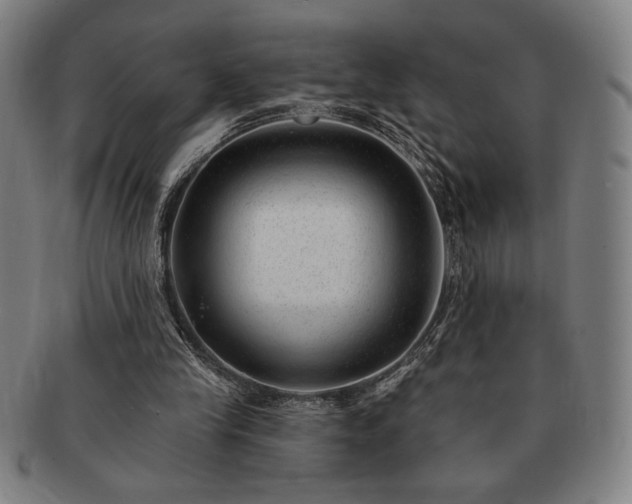 X0000091470245200708231344