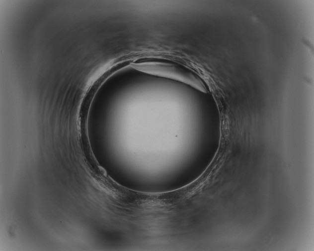 X0000091470246200708231344