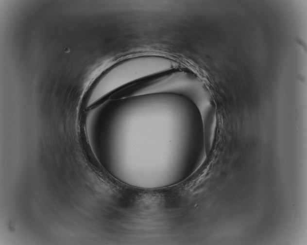 X0000091470248200708231344