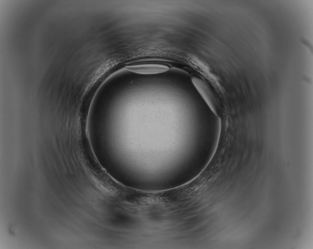 X0000091470250200708231345