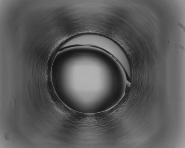 X0000091470252200708231345