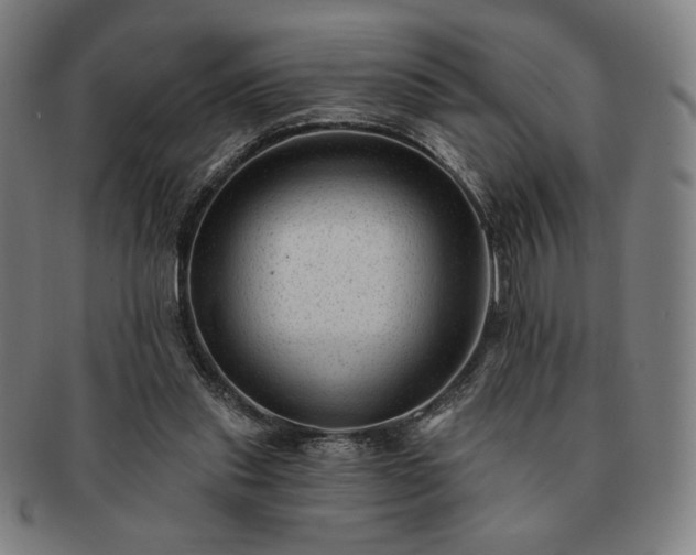 X0000091470253200708231345