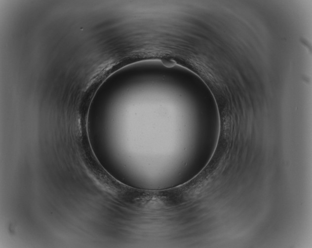 X0000091470254200708231345