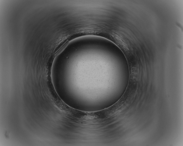 X0000091470255200708231345