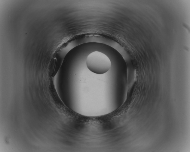 X0000091470256200708231345