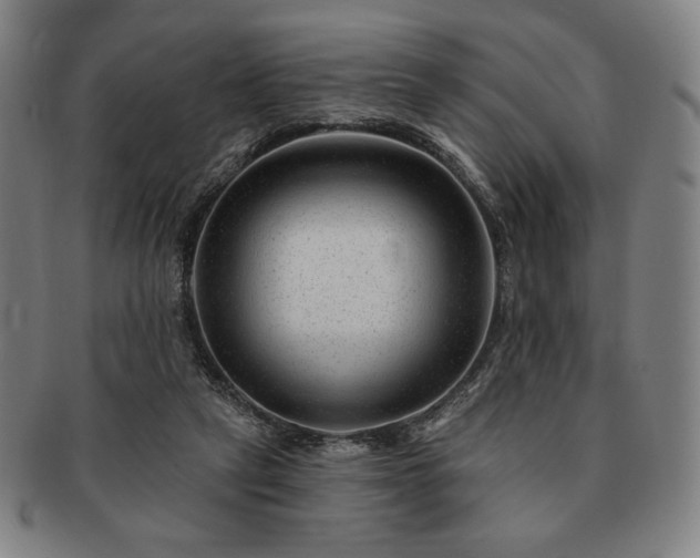 X0000091470257200708231345