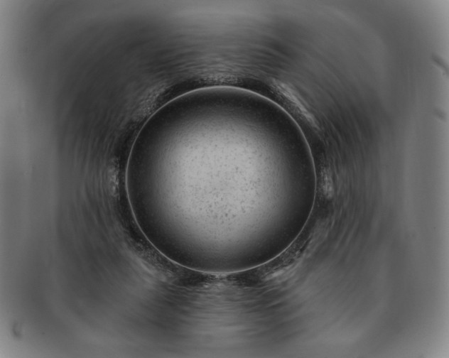 X0000091470259200708231345