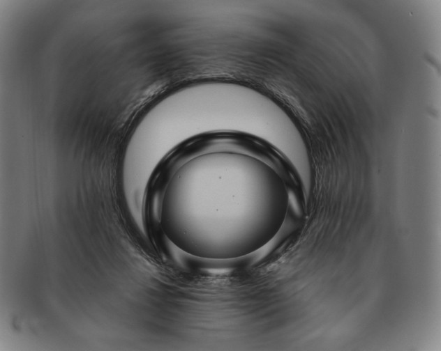 X0000091470260200708231345