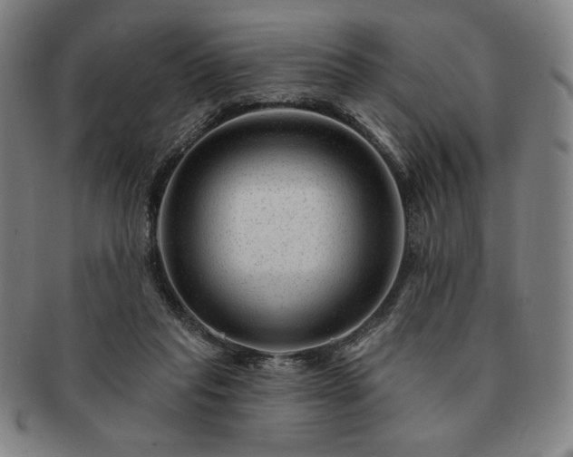 X0000091470261200708231345