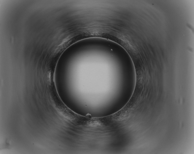 X0000091470262200708231345