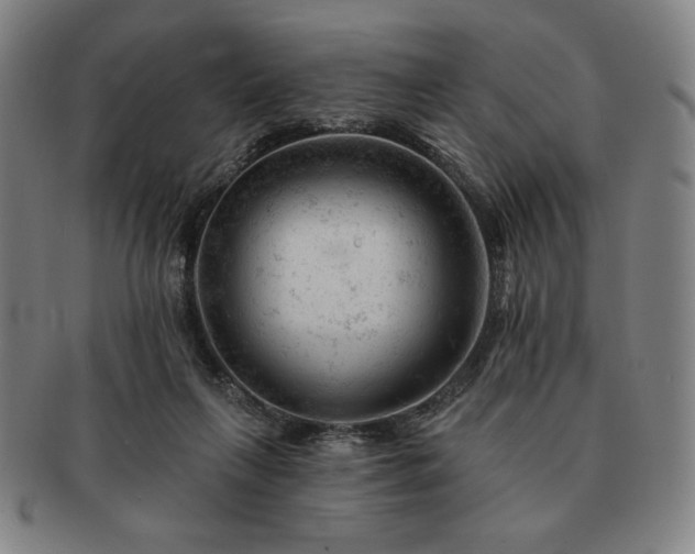 X0000091470263200708231345