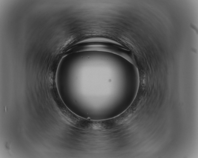 X0000091470264200708231345