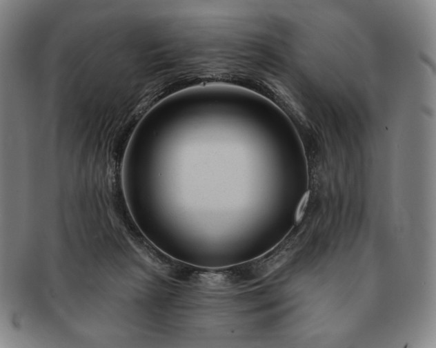 X0000091470265200708231345