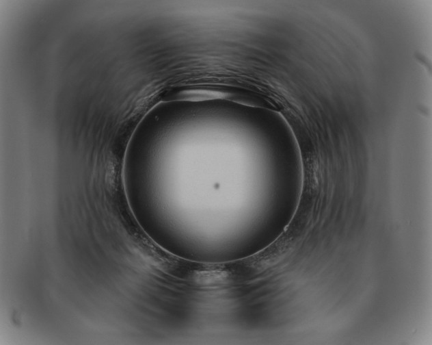 X0000091470266200708231345