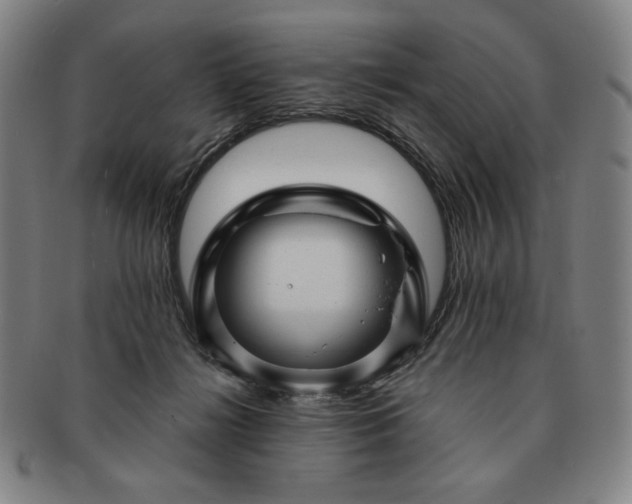 X0000091470268200708231345