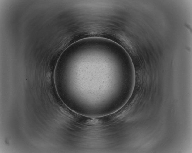 X0000091470269200708231345