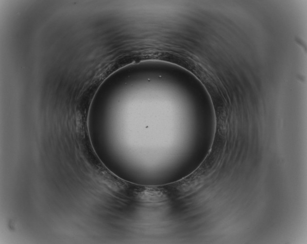 X0000091470270200708231345