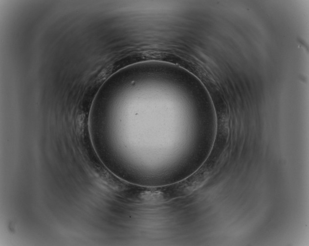 X0000091470271200708231345