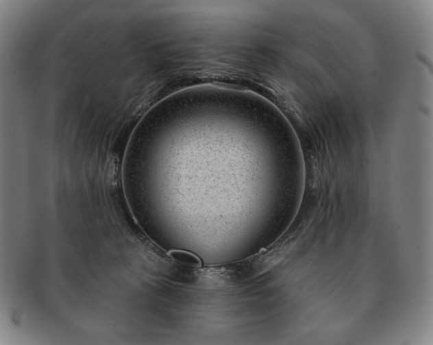 X0000091470273200708231345