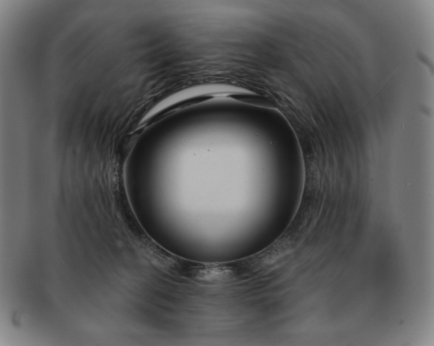 X0000091470274200708231345