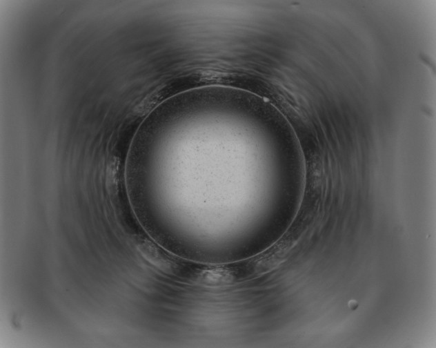 X0000091470275200708231345