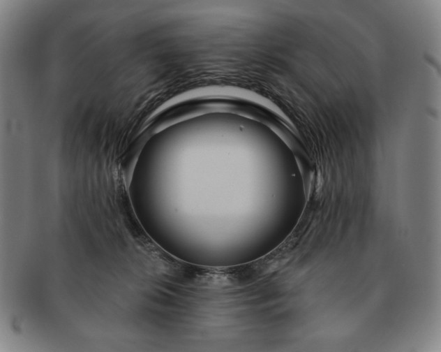 X0000091470276200708231345