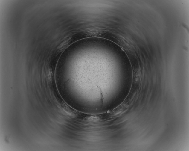 X0000091470279200708231345