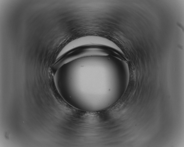 X0000091470280200708231345